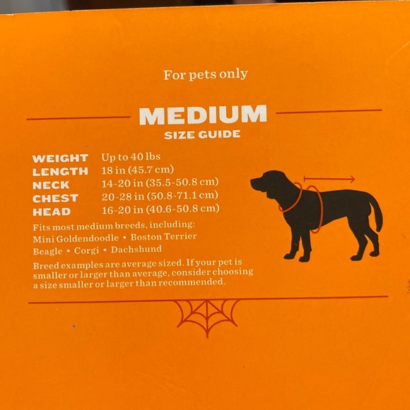 Pet Gold Dragon Costume. NWT - Picture 2 of 5